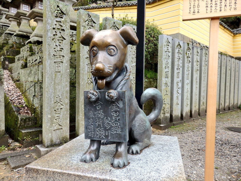 金比羅犬