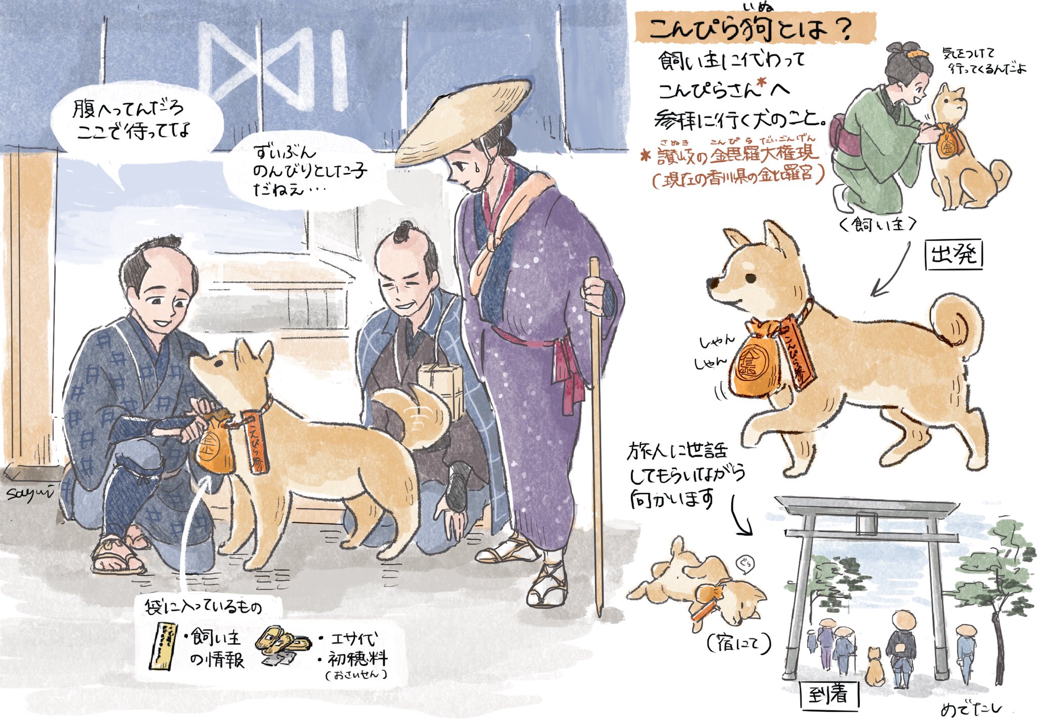金比羅犬