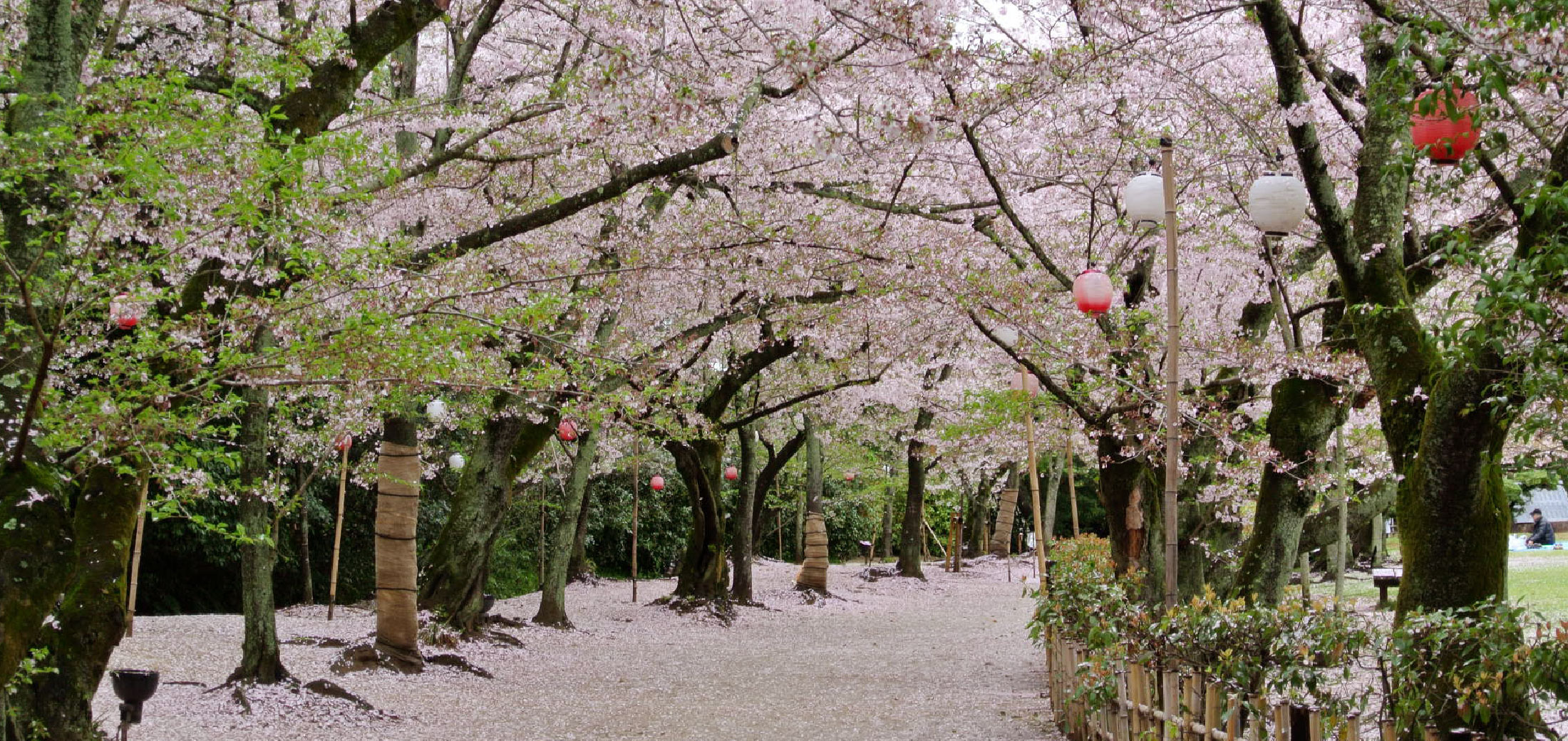 栗林公園