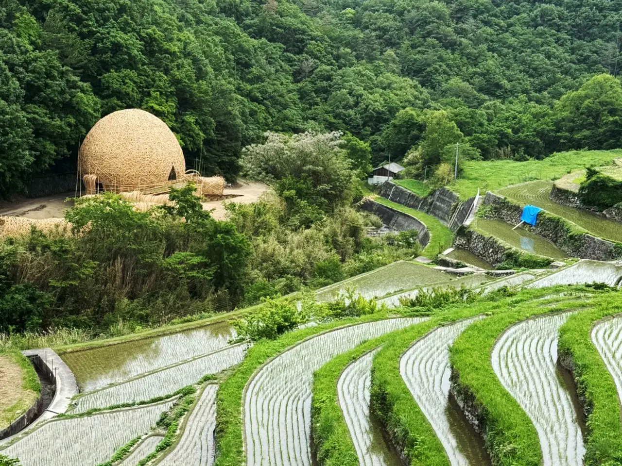 小豆島 中山千枚田抱擁小豆島