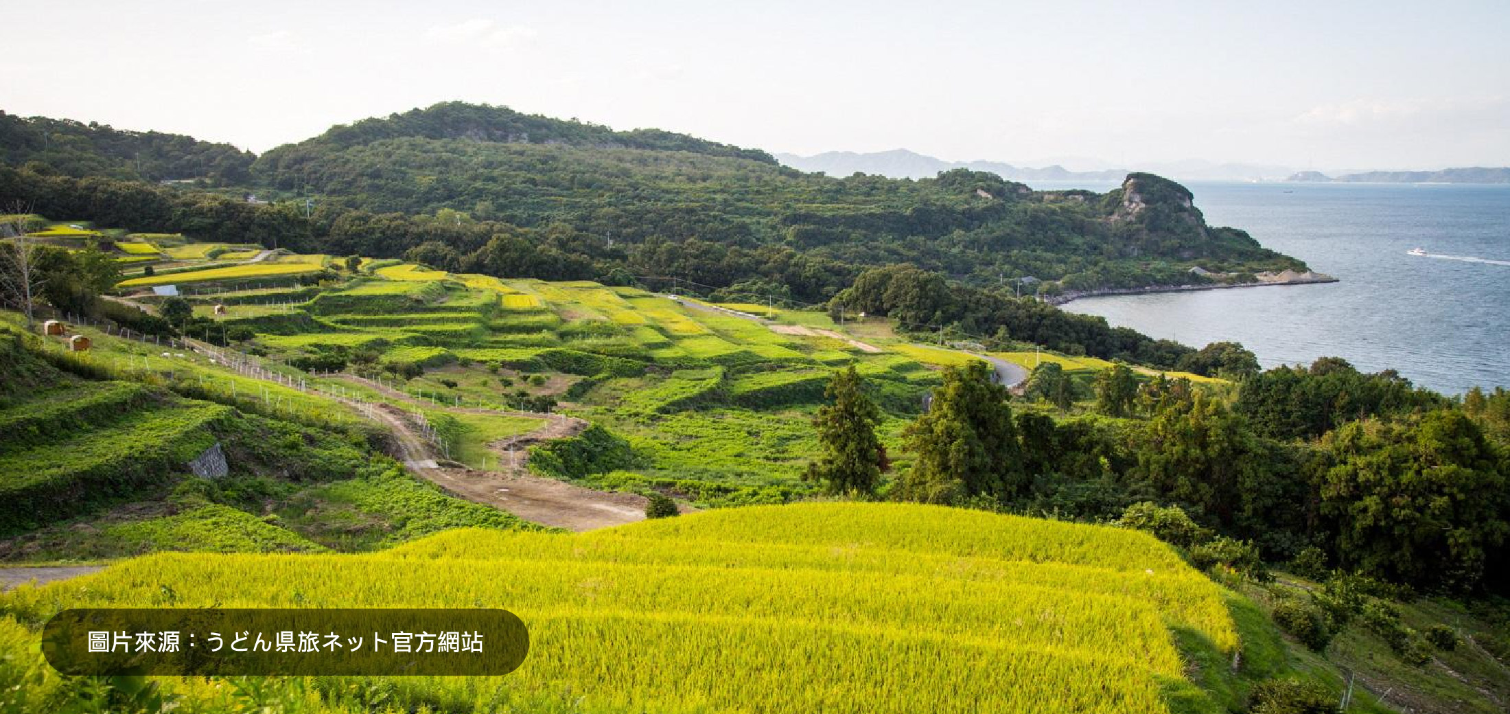 豊島