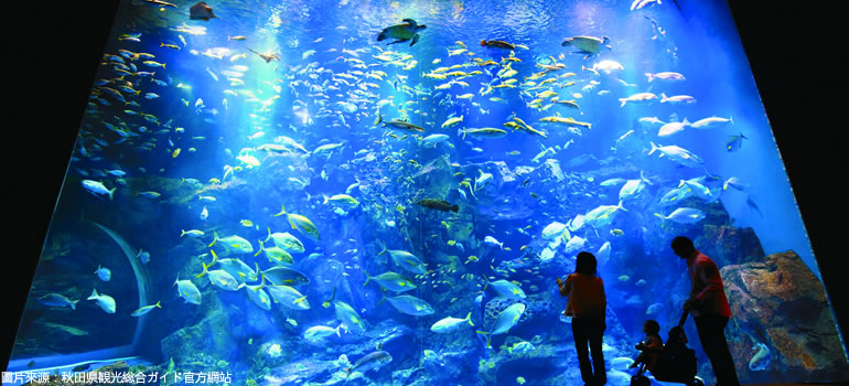 秋田男鹿水族館GAO